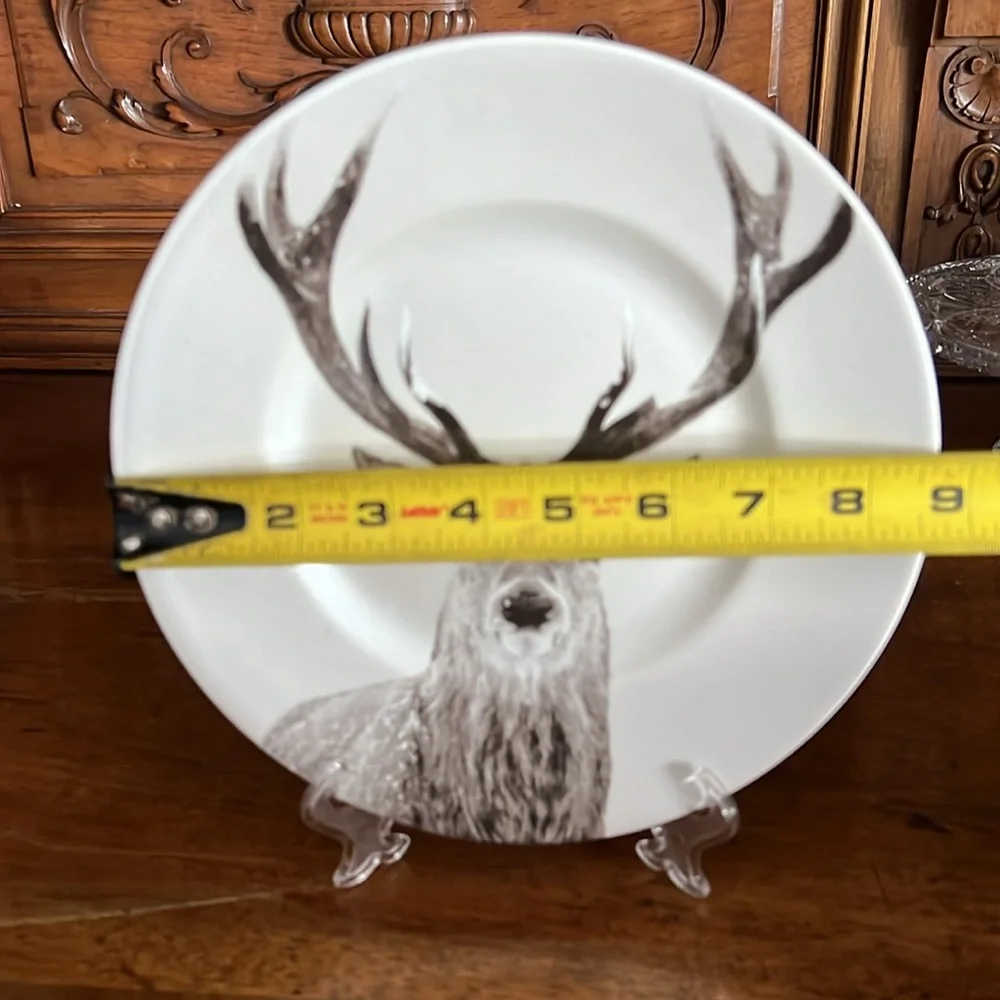 Pier 1 Imports 1 “Winter Forest” Accent Plate
